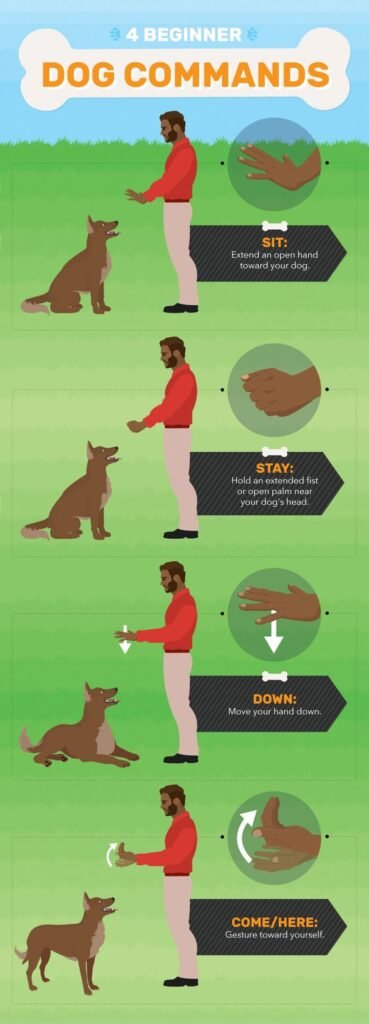 Best Dog Training Methods