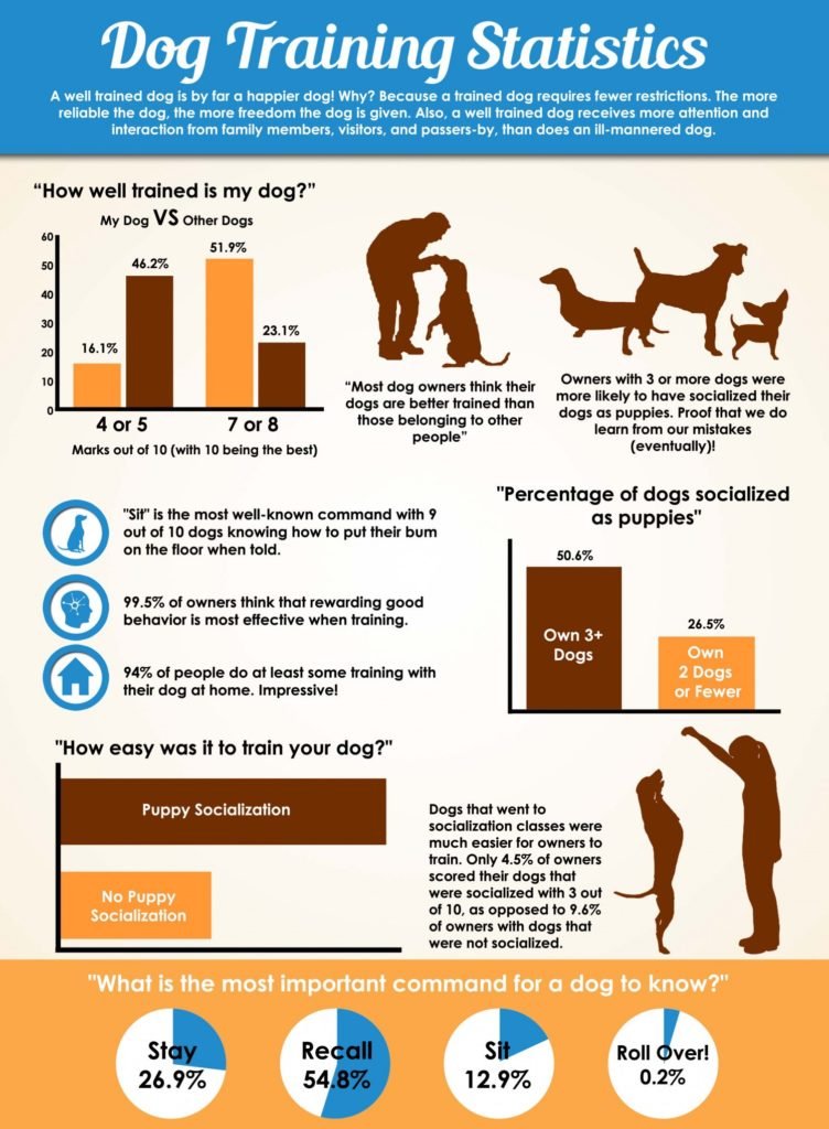 Best Dog Training Methods