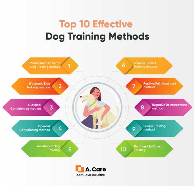 Best Dog Training Methods