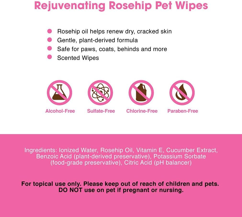 Best Pet Supplies 8 x 9 Pet Grooming Wipes for Dogs  Cats, 100 Pack, Plant-Based Deodorizer for Coats  Dry, Itchy, or Sensitive Skin, Clean Ears, Paws,  Butt - Calming Lavender