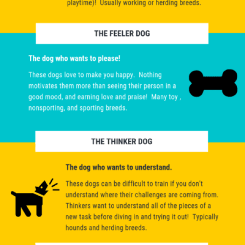 Best Dog Training Methods