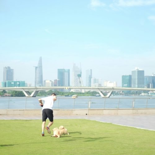 Dog Exercise Tips