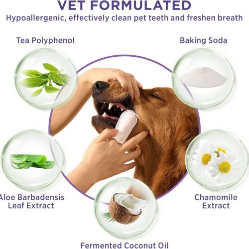 HICC Pet Teeth Cleaning Wipes Review