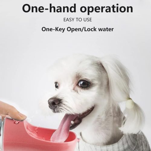 Kalimdor Dog Water Bottle Review