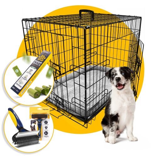 PawsnBlogs: Ultimate Pet Care Resources for Dogs & Cats