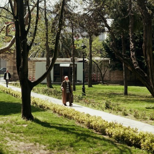 Senior Dog Care Tips