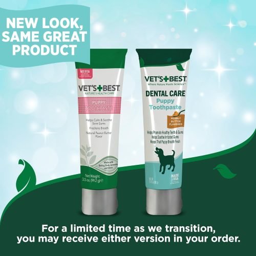 Vet’s Best Dog Toothbrush & Toothpaste Kit Review